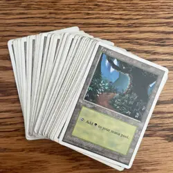 MTG: Vintage ‘94 Revised (3rd Ed) Lands - 50X Forests HP Condition - Image 4