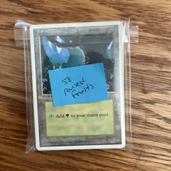 MTG: Vintage ‘94 Revised (3rd Ed) Lands - 50X Forests HP Condition - Image 5