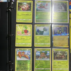 Personal Pokemon Collection 360 Cards Total - Image 1