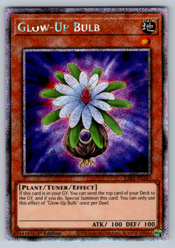 Glow-Up Bulb Yugioh RA03-EN245 Platinum Secret Rare PSR NM - Image 1