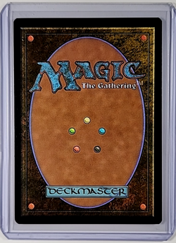 2024 MTG Magic the Gathering Secret Lair Anime Rainbow Foil 804 Beloved Princess - Image 2