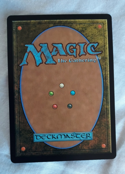 Three Tree City – Bloomburrow BLB – NM Rare Land MTG - Image 2