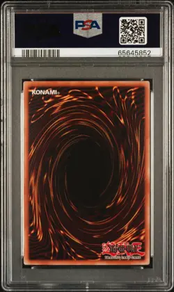 Blue-Eyes White Dragon PSA 10 CT14-EN002 - Secret Rare - Limited Edition YuGiOh - Image 2