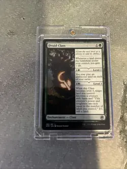 MTG Druid Class - Adventures in the Forgotten Realms (AFR) #180 MTG - Image 3