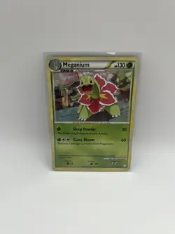 Meganium 26/123 NM 2010 Pokemon Heartgold Soulsilver Exclusive Cracked Ice Holo - Image 1