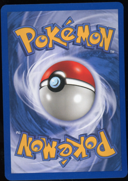 Pokemon 2003 Ex Ruby & Sapphire - Marshtomp - Reverse Holo - 40 - Image 2