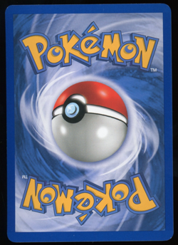 Pokemon 2003 Ex Ruby & Sapphire - Poochyena - Reverse Holo - 63 - Image 2