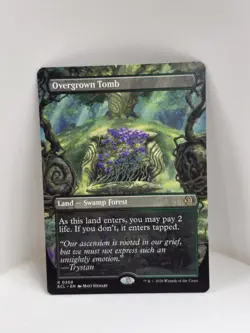 Overgrown Tomb (Borderless) | Lorwyn Eclipsed - Regular - Image 1