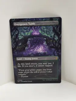 Overgrown Tomb (Borderless) | Lorwyn Eclipsed - Regular - Image 2