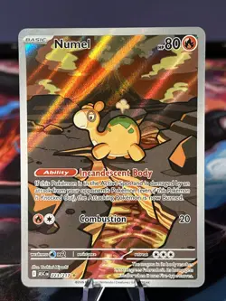 Pokemon TCG Numel Illustration Rare - Ascended Heroes 223/217 - NM/M - Image 1