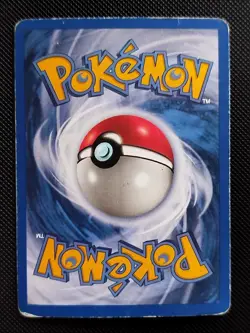 (HP) Squirtle 131/165 2002 Expedition Base Set Reverse Holo Pokemon Card - Image 2