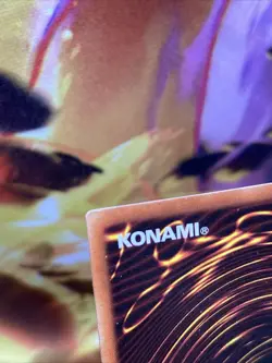 Killer Needle - MRD-006 - Yugioh Metal Raiders - MP/HP - Image 3