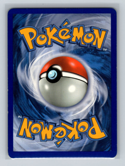 2004 Pokemon Swampert Holo POP Series 1 5/17 Promo Card LP - Image 2