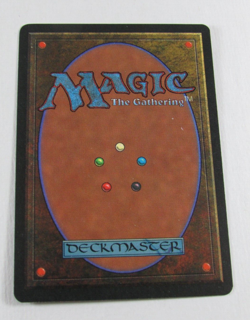 MAGIC THE GATHERING LEGENDS WALL OF EARTH NM ENGLISH MTG - Image 2