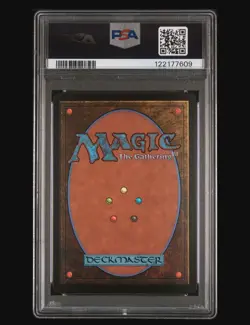 2025 MTG FINAL FANTASY BORDERLESS-FOIL #0406 TRAVELING CHOCOBO PSA 10 GEM 💎 - Image 3