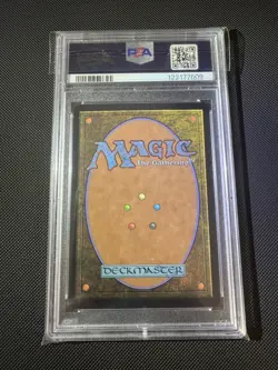 2025 MTG FINAL FANTASY BORDERLESS-FOIL #0406 TRAVELING CHOCOBO PSA 10 GEM 💎 - Image 4
