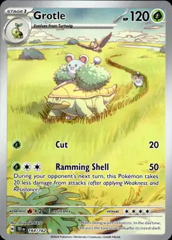 Grotle 164/162 | Illustration Rare | Temporal Forces | Pokemon TCG | NM - Image 1