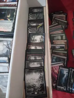 2300+ Full Art Dual Land Token Mtg Bulk Bulk Lot Staples Commander Collection - Image 4