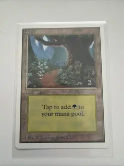 Forest (B) - Unlimited - Magic the Gathering MTG - Image 1