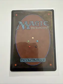 Forest (B) - Unlimited - Magic the Gathering MTG - Image 2