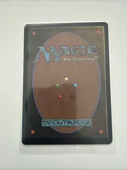 Magic The Gathering MTG PLAINS (C) Unlimited Edition LP Lightly Played - Image 2