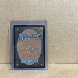 Don & Raph, Hard Science (Showcase) Teenage Mutant Ninja Turtles Regular - Image 2