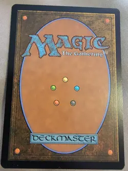 Magic The Gathering: Aang's Shelter - Teferi's Protection (Borderless) Avatar - Image 2