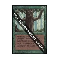 WOTC MtG Collector's Ed Ironroot Treefolk (CE) (C) EX - Image 1