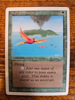 Birds of Paradise Revised Edition Regular - Image 1