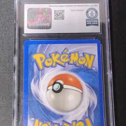 Swinub 107/144 Skyridge 50 HP Basic Regular Pokemon TCG WORLD RECORD COLLECTION - Image 2