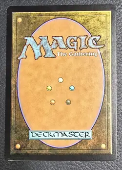 MTG Magic the Gathering Fury of the Horde Coldsnap #81 LP - Image 2