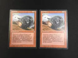 2x Mudslide LP/MP [Ice Age] Mtg Magic Free Tracking! - Image 1