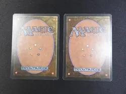 2x Mudslide LP/MP [Ice Age] Mtg Magic Free Tracking! - Image 2