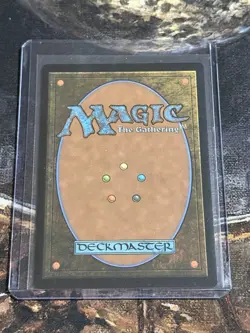 Wizards of the Coast Blood Crypt ECL Land Black Red #0262 English 2026 - Image 2