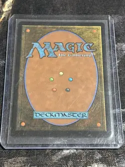 Wizards of the Coast Sunbillow Verge White/Red Land Holo #0373 English 2025 - Image 2