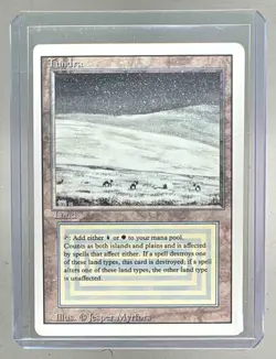 Tundra 1993 Magic: The Gathering Revised (B) - Image 1