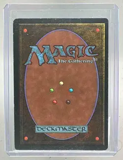 Tundra 1993 Magic: The Gathering Revised (B) - Image 2