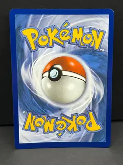 Mega Venusaur ex 013 Holo Promo ME: Mega Evolution Promo Pokemon Near Mint - Image 2