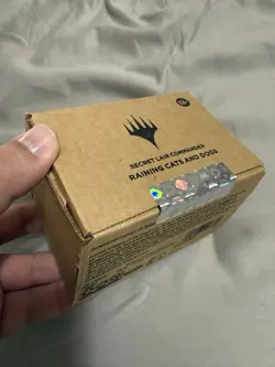 Wizards of the Coast MTG Secret Lair Commander Raining Cats and Dogs Box English - Image 2