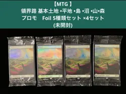 MTG Territorial Road Basic Land Foil Set of 4 Five Types Game Card - Image 1
