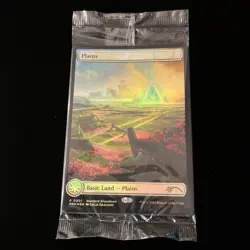 MTG Territorial Road Basic Land Foil Set of 4 Five Types Game Card - Image 5