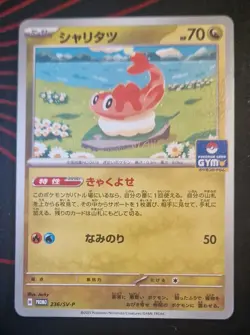 Tatsugiri 236/SV-P Gym Promo Pokemon TCG Card Japanese Scarlet & Violet NM-Mint - Image 1