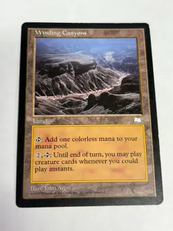 Winding Canyons - MTG - Weatherlight - Magic the Gathering LP/MP - Image 1