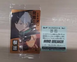 Sakura Haruka Wafers Trading Card Rare Limited - Image 2