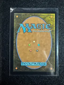 Banner of Kinship Foundations Foil MTG NM - Image 2