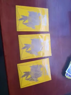 Pokemon Cards In Sleeves - Image 2