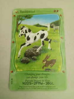 Bella Sara Baby Bella Tumbleweed 41/92 Parents: Skipper & Flora Horse Card TCG - Image 1