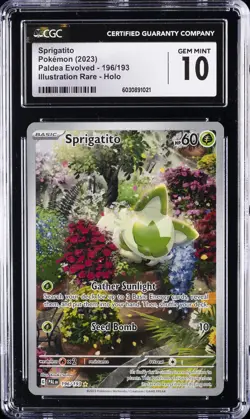 2023 POKEMON PAL EN-PALDEA EVOLVED ILLUSTRATION RARE SPRIGATITO CGC 10 GEM MINT - Image 1