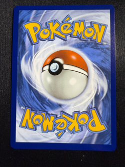 Pokemon Bloodmoon Ursaluna ex (SIR) | 216/167 Sv06: Twilight Masquerade Holo NM - Image 2