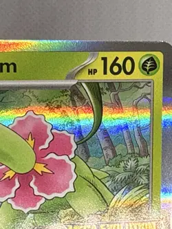 Meganium - MEP 001 Mega Evolutions Stamped Black Star Promo Pokemon TCG - Image 4